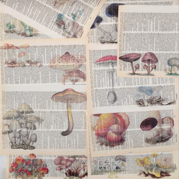 Mushroom Dictionary Prints, Colorful Mushroom Prints, Book Page Prints - Picture 1 of 6